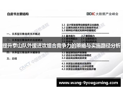 提升泰山队外援进攻组合竞争力的策略与实施路径分析