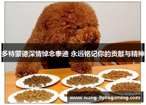 多特蒙德深情悼念泰迪 永远铭记你的贡献与精神
