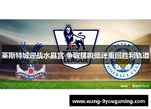 莱斯特城迎战水晶宫 争取摆脱低迷重回胜利轨道