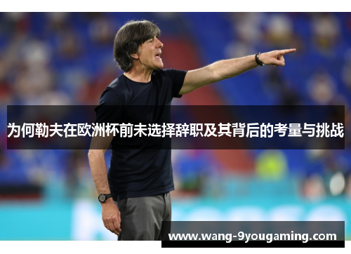 为何勒夫在欧洲杯前未选择辞职及其背后的考量与挑战