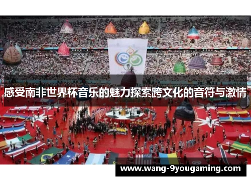 感受南非世界杯音乐的魅力探索跨文化的音符与激情