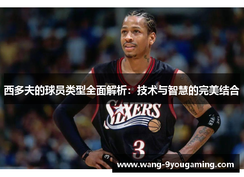 西多夫的球员类型全面解析：技术与智慧的完美结合