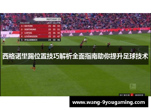 西格诺里踢位置技巧解析全面指南助你提升足球技术