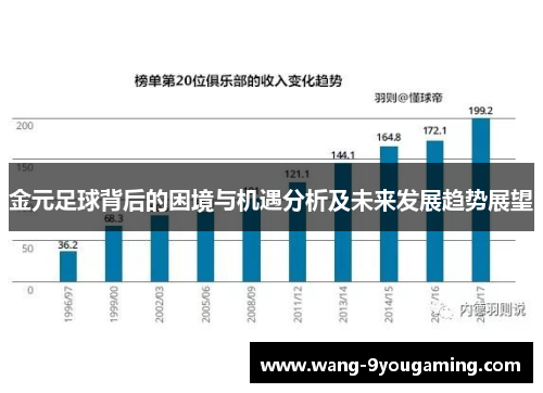 金元足球背后的困境与机遇分析及未来发展趋势展望
