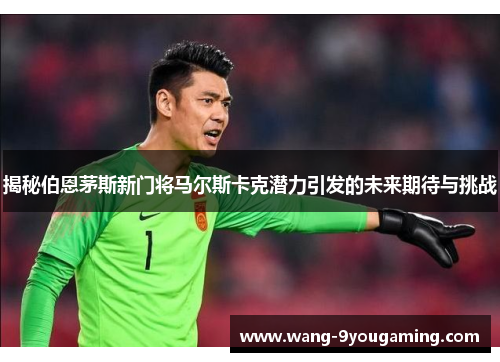 揭秘伯恩茅斯新门将马尔斯卡克潜力引发的未来期待与挑战