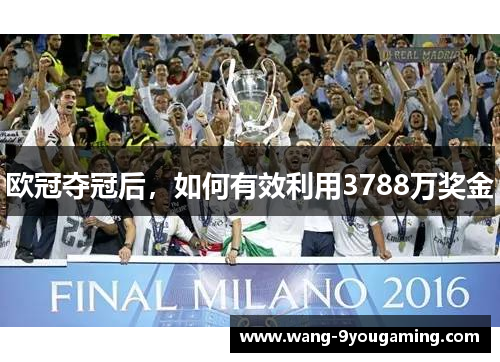 欧冠夺冠后,如何有效利用3788万奖金 欧冠夺冠后,如何有效利用3788万奖金