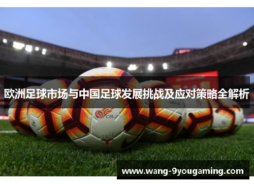 欧洲足球市场与中国足球发展挑战及应对策略全解析