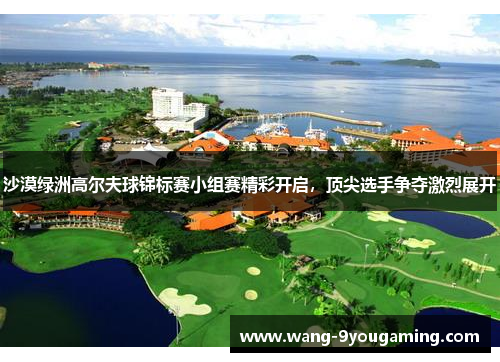 沙漠绿洲高尔夫球锦标赛小组赛精彩开启,顶尖选手争夺激烈展开 沙漠绿洲高尔夫球锦标赛小组赛精彩开启,顶尖选手争夺激烈展开